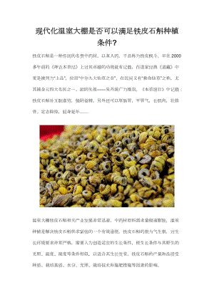現(xiàn)代化溫室大棚是否可以滿(mǎn)足鐵皮石斛種植條件.docx