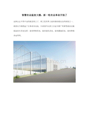 智慧農(nóng)業(yè)溫室大棚新一輪農(nóng)業(yè)革命開始了.docx