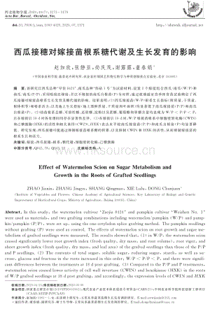 西瓜接穗對(duì)嫁接苗根系糖代謝及生長發(fā)育的影響.pdf
