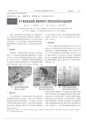 關(guān)于溫室栽培油桃、葡萄樹(shù)體死亡原因和經(jīng)濟(jì)損失的鑒定案例.pdf