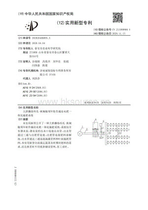 實用新型：大拱棚春西瓜-秋辣椒周年輪作栽培水肥一體化施肥系統(tǒng).pdf