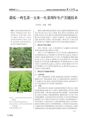 甜瓜雞毛菜玉米生菜周年生產(chǎn)關(guān)鍵技術(shù).pdf
