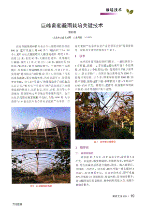巨峰葡萄避雨栽培關鍵技術.pdf