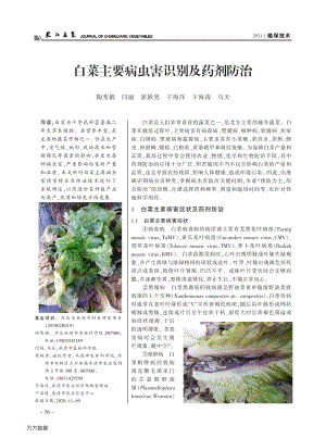 白菜主要病蟲害識別及藥劑防治.pdf