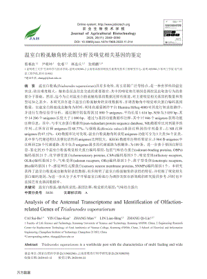溫室白粉虱觸角轉(zhuǎn)錄組分析及嗅覺相關(guān)基因的鑒定.pdf
