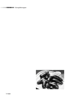 水溶性肥料在茄果類(lèi)上的應(yīng)用肥效試驗(yàn)小結(jié).pdf
