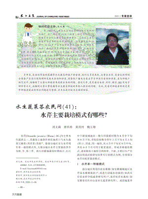 水生蔬菜答農(nóng)民問(wèn)（41）水芹主要栽培模式有哪些.pdf