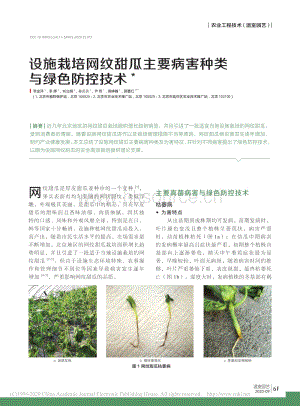 2020-設施栽培網(wǎng)紋甜瓜主要病害種類與綠色防控技術_李金萍.pdf