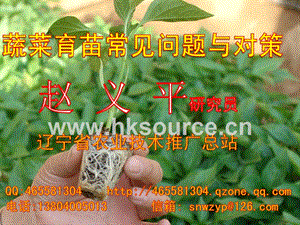 蔬菜育苗常見問題與對策.ppt
