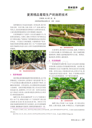 2021-夏黑精品葡萄生產(chǎn)的施肥技術(shù)_齊明陽.pdf