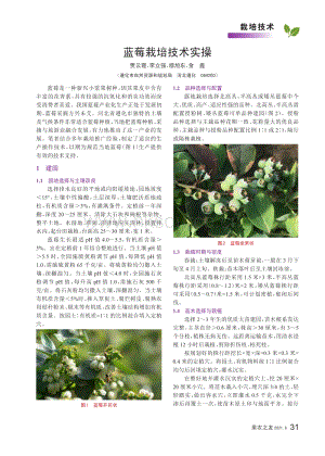 2021-藍(lán)莓栽培技術(shù)實(shí)操_賈云霞.pdf