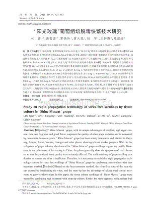 2021-陽光玫瑰葡萄組培脫毒快繁技術(shù)研究_林茜.pdf