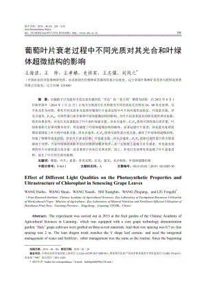 葡萄葉片衰老過程中不同光質對其光合和葉綠體超微結構的影響.pdf