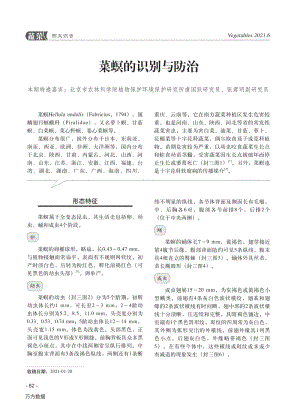 2021-菜螟的識(shí)別與防治_虞國(guó)躍.pdf