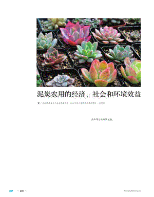 【泥炭技術(shù)】泥炭農(nóng)用的經(jīng)濟、社會和環(huán)境效益.pdf