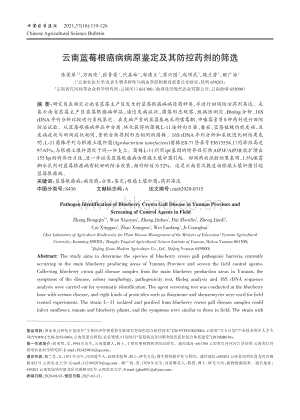 云南藍(lán)莓根癌病病原鑒定及其防控藥劑的篩選.pdf