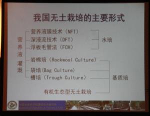 我國無土栽培的主要形式.jpg
