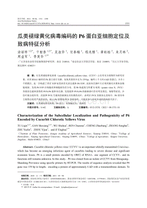 瓜類褪綠黃化病毒編碼的P6蛋白亞細胞定位及致病特征分析.pdf