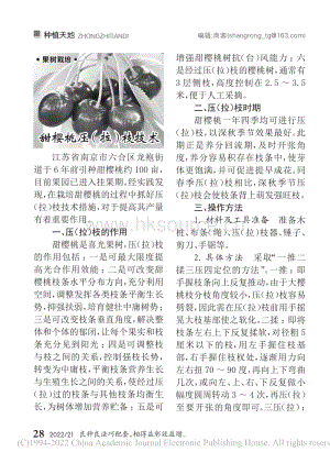 甜櫻桃壓（拉）枝技術.pdf