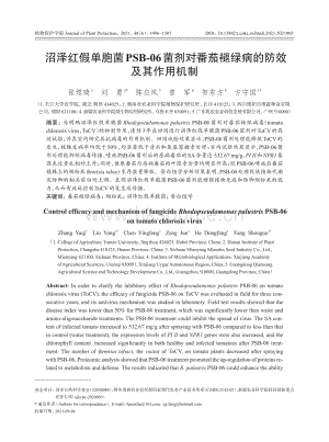 沼澤紅假單胞菌PSB-06菌劑對番茄褪綠病的防效及其作用機制.pdf