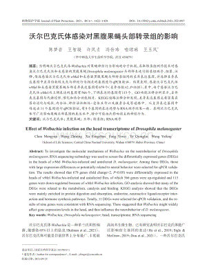 沃爾巴克氏體感染對黑腹果蠅頭部轉(zhuǎn)錄組的影響.pdf