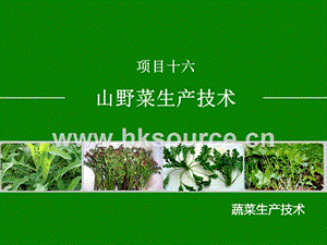 蔬菜生產(chǎn)技術（北方本）課件 16.3莧菜生產(chǎn)技術.ppt