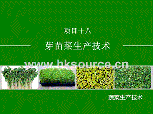 蔬菜生產(chǎn)技術(shù)（北方本）課件 18.1豌豆苗生產(chǎn)技術(shù).ppt