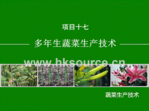 蔬菜生產(chǎn)技術（北方本）課件 17.1蘆筍生產(chǎn)技術.ppt