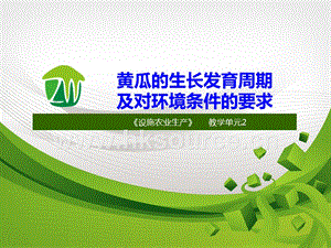 設(shè)施蔬菜生產(chǎn)-黃瓜的生長發(fā)育周期及對環(huán)境條件的要求.ppt