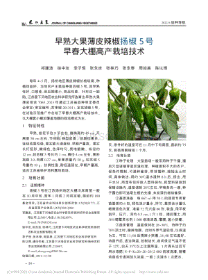 早熟大果薄皮辣椒揚椒5號早春大棚高產(chǎn)栽培技術.pdf