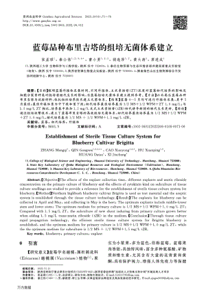 藍(lán)莓品種布里吉塔的組培無(wú)菌體系建立.pdf