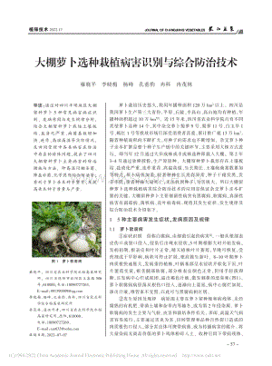 大棚蘿卜選種栽植病害識(shí)別與綜合防治技術(shù).pdf