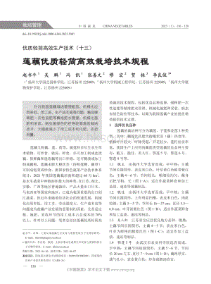 優(yōu)質(zhì)輕簡(jiǎn)高效生產(chǎn)技術(shù)（十三）蓮藕優(yōu)質(zhì)輕簡(jiǎn)高效栽培技術(shù)規(guī)程.pdf