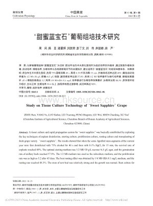 甜蜜藍寶石葡萄組培技術(shù)研究.pdf