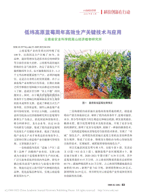2022-低緯高原藍莓周年高效生產(chǎn)關鍵技術與應用.pdf