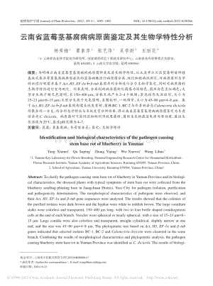 云南省藍(lán)莓莖基腐病病原菌鑒定及其生物學(xué)特性分析_楊秀梅.pdf