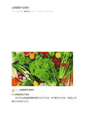 山西蔬菜產(chǎn)業(yè)現(xiàn)狀.pdf