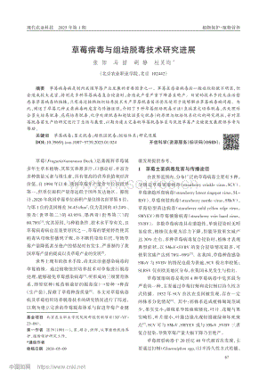 草莓病毒與組培脫毒技術(shù)研究進(jìn)展.pdf