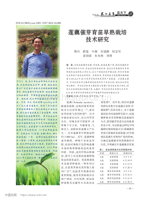 蓮藕催芽育苗早熟栽培技術(shù)研究_荊丹.pdf