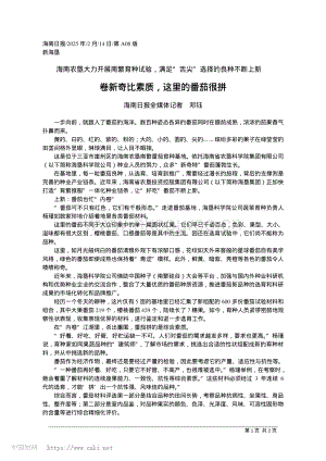 卷新奇比素質(zhì)這里的番茄很拼_海南日?qǐng)?bào)全媒體記者_(dá)_鄧鈺.pdf