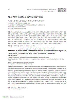 帝王大麗花組培苗微型塊根的誘導(dǎo)_向地英.pdf