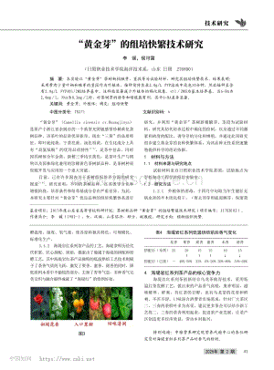 “黃金芽”的組培快繁技術(shù)研究_李媛.pdf