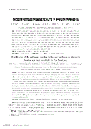 保定辣椒炭疽病菌鑒定及對(duì)5種藥劑的敏感性.pdf