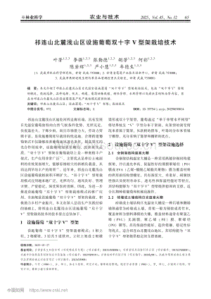 祁連山北麓淺山區(qū)設施葡萄雙十字V型架栽培技術.pdf