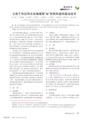 云南干熱區(qū)陽光玫瑰葡萄“H”形樹形避雨栽培技術(shù).pdf