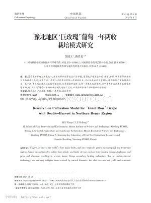 豫北地區(qū)巨玫瑰葡萄一年兩收栽培模式研究.pdf
