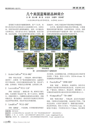 幾個(gè)美國(guó)藍(lán)莓新品種簡(jiǎn)介_(kāi)王婷.pdf