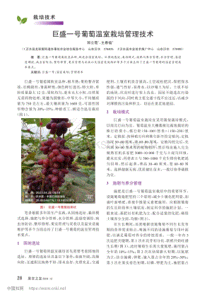 巨盛一號葡萄溫室栽培管理技術(shù)_郭立霞.pdf