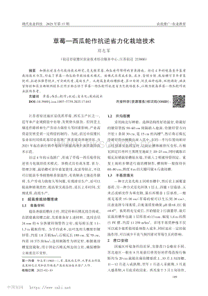 草莓—西瓜輪作抗逆省力化栽培技術_鄭志軍.pdf