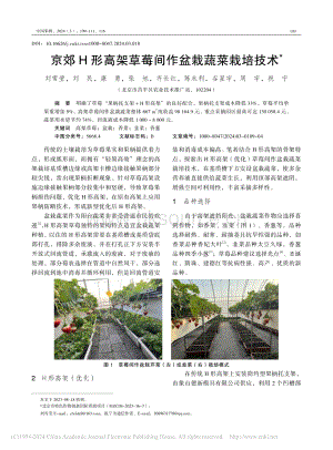 京郊H形高架草莓間作盆栽蔬菜栽培技術(shù)_劉雪瑩.pdf